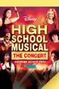 High School Musical: The Concert summary and reviews