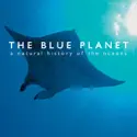 The Blue Planet release date, synopsis, reviews