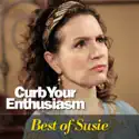 Curb Your Enthusiasm, Best of Susie watch, hd download