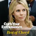 Curb Your Enthusiasm, Best of Cheryl watch, hd download