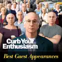 Curb Your Enthusiasm, Best Guest Appearances cast, spoilers, episodes, reviews