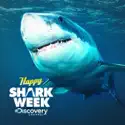 Shark Week, 2010 cast, spoilers, episodes and reviews