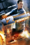 12 Rounds (Extreme Cut) [Unrated] summary, synopsis, reviews