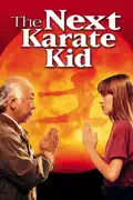 The Next Karate Kid summary, synopsis, reviews
