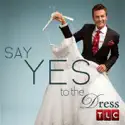 The Path to the Dress recap & spoilers