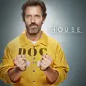 House, Season 8 cast, spoilers, episodes, reviews