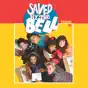 Saved By the Bell, Season 2