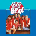 Saved By the Bell, Season 4 watch, hd download