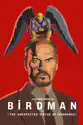 Birdman summary and reviews