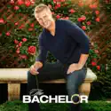 The Bachelor, Season 17 watch, hd download