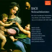 Wie Schön Leuchtet Der Morgenstern BWV 1/Kantate Am Fest Mariä Verkündung/Recetativo/Ein Irdscher Glanz, Ein Leiblich Licht summary, synopsis, reviews