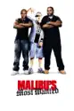 Malibu's Most Wanted summary and reviews
