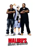 Malibu's Most Wanted summary, synopsis, reviews