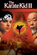 The Karate Kid II reviews, watch and download