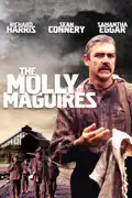 The Molly Maguires summary, synopsis, reviews