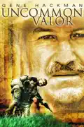 Uncommon Valor summary, synopsis, reviews