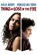 Things We Lost In the Fire summary, synopsis, reviews