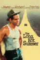 The Long, Hot Summer summary and reviews