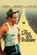 The Long, Hot Summer summary, synopsis, reviews