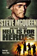 Hell Is for Heroes summary, synopsis, reviews