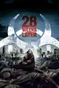 28 Weeks Later summary and reviews