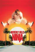 Beverly Hills Ninja summary, synopsis, reviews