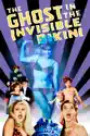 The Ghost In the Invisible Bikini summary and reviews