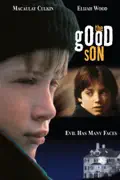 The Good Son summary, synopsis, reviews