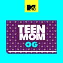 Teen Mom, Vol. 17 watch, hd download