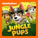 PAW Patrol, Jungle Pups watch, hd download