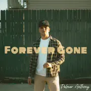 Forever Gone summary, synopsis, reviews