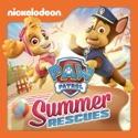 PAW Patrol, Summer Rescues cast, spoilers, episodes, reviews