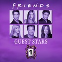 Friends, The One With All the Guest Stars, Vol. 1 cast, spoilers, episodes, reviews