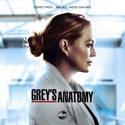 Grey's Anatomy, Season 17 watch, hd download