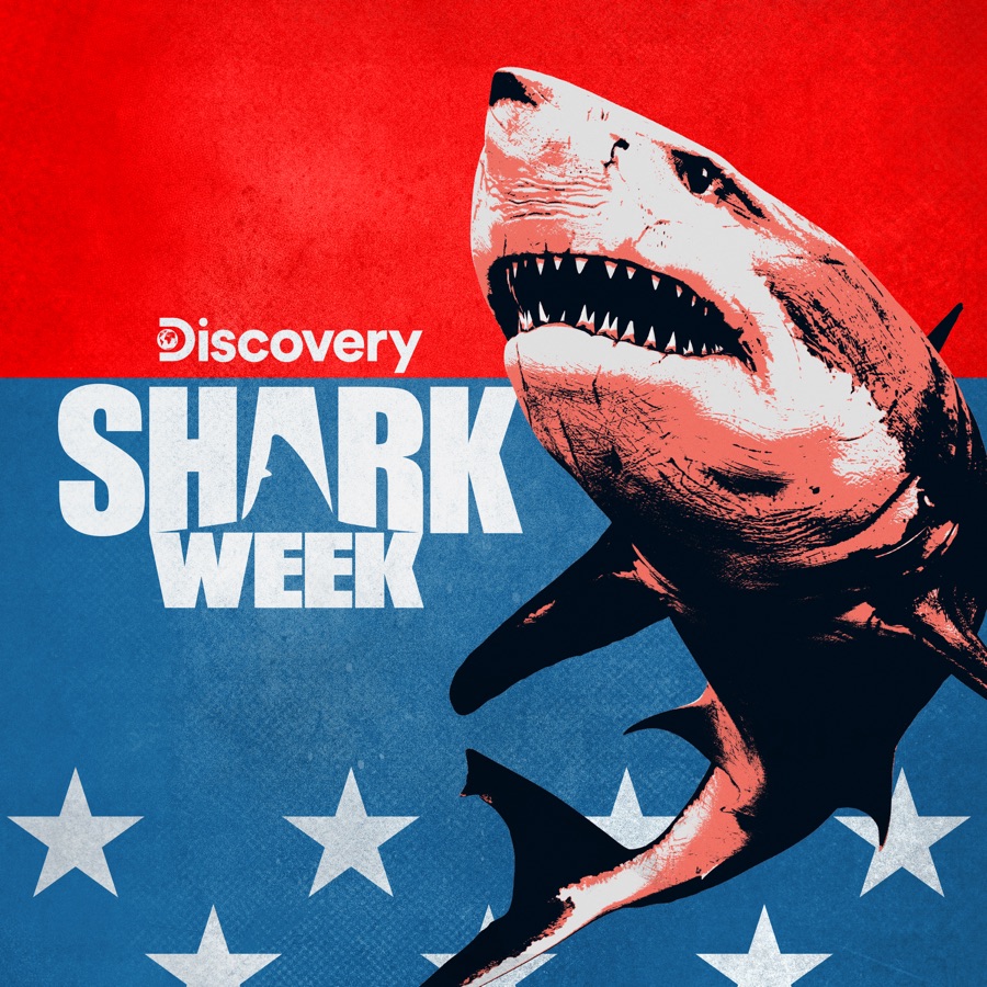 Shark Week, 2020 release date, trailers, cast, synopsis and reviews