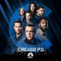Chicago PD, Season 9