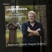An die ferne Geliebte, Op. 98 No. 1-6 (Liederzyklus): No. 2 Wo die Berge so blau summary, synopsis, reviews