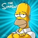 The Simpsons, Season 6 watch, hd download