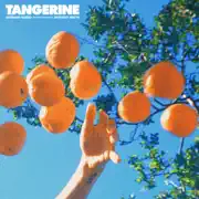 Tangerine summary, synopsis, reviews