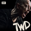The Walking Dead, Season 10 watch, hd download