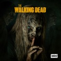 The Walking Dead, Season 9 watch, hd download