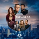 Chicago PD, Season 8 cast, spoilers, episodes, reviews