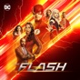 The Flash, Season 8