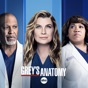 Grey's Anatomy, Season 18
