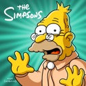 The Simpsons, Season 24 watch, hd download