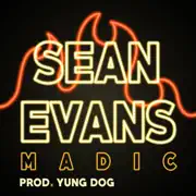 Sean Evans summary, synopsis, reviews