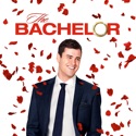 The Bachelor, Season 20 cast, spoilers, episodes, reviews