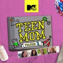 Teen Mom, Vol. 3 cast, spoilers, episodes, reviews