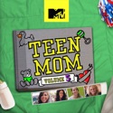 Teen Mom, Vol. 5 cast, spoilers, episodes, reviews
