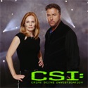 CSI: Crime Scene Investigation, Season 4 cast, spoilers, episodes, reviews